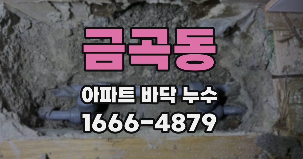 금곡동 아파트 바닥 누수