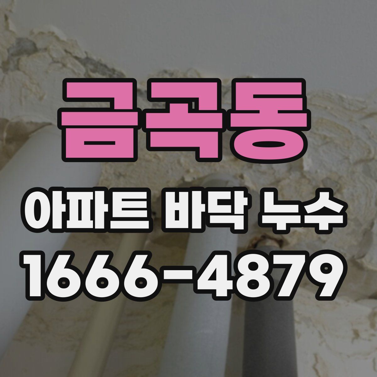 금곡동 아파트 바닥 누수