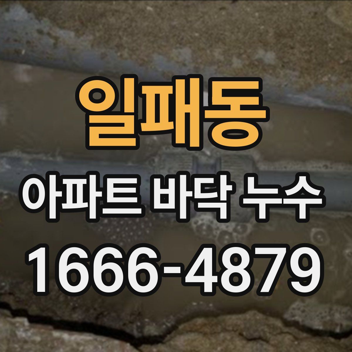 일패동 아파트 바닥 누수