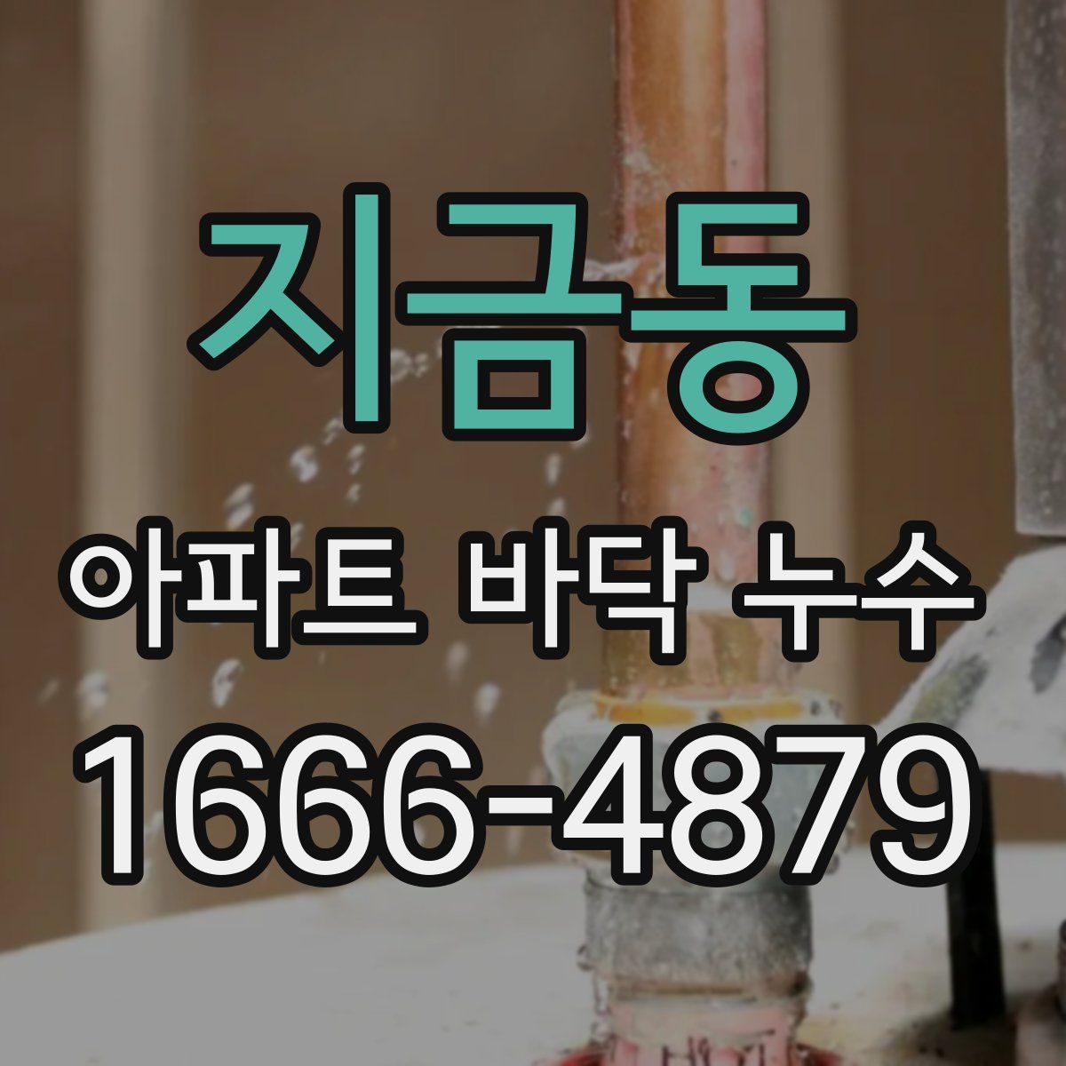 지금동 아파트 바닥 누수