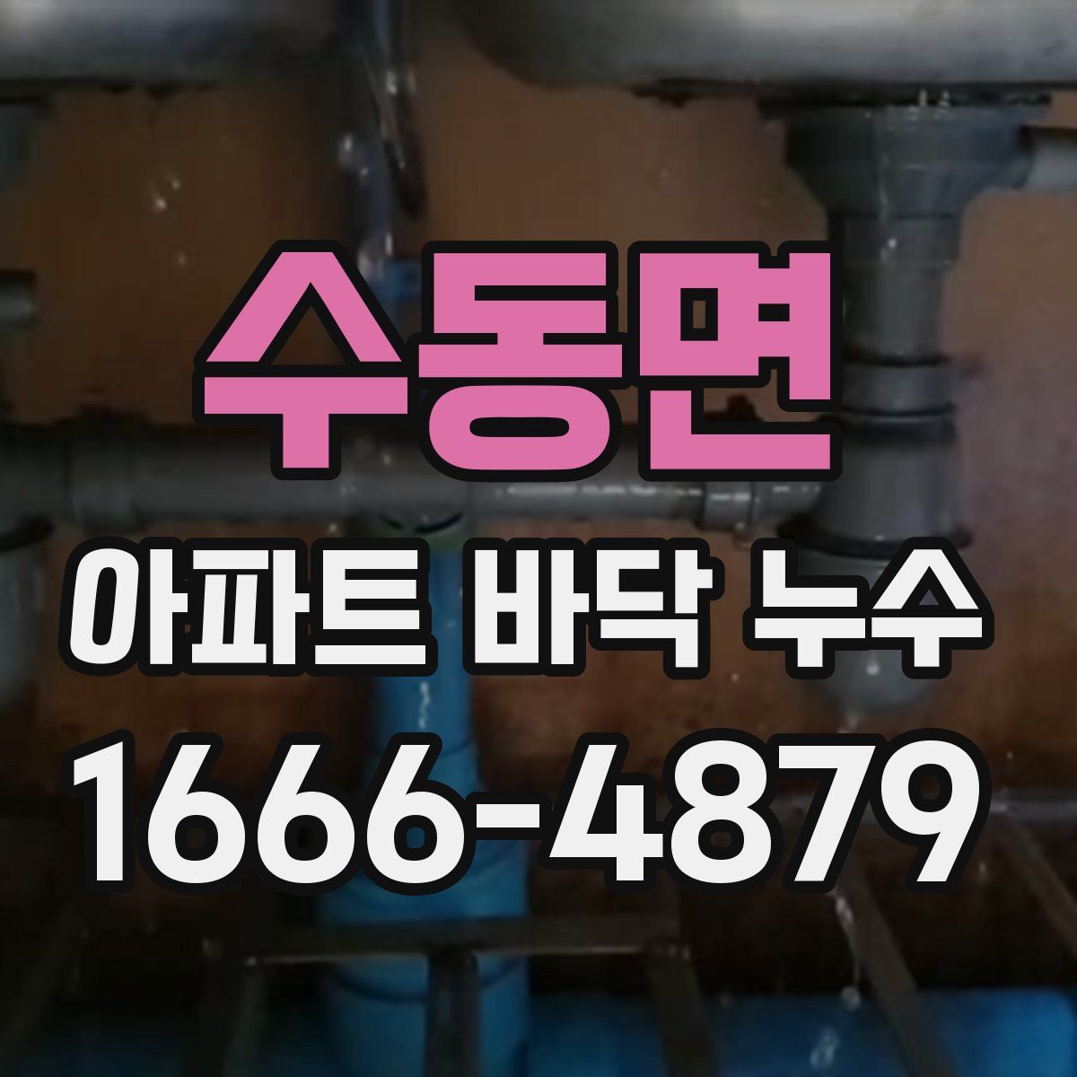 수동면 아파트 바닥 누수