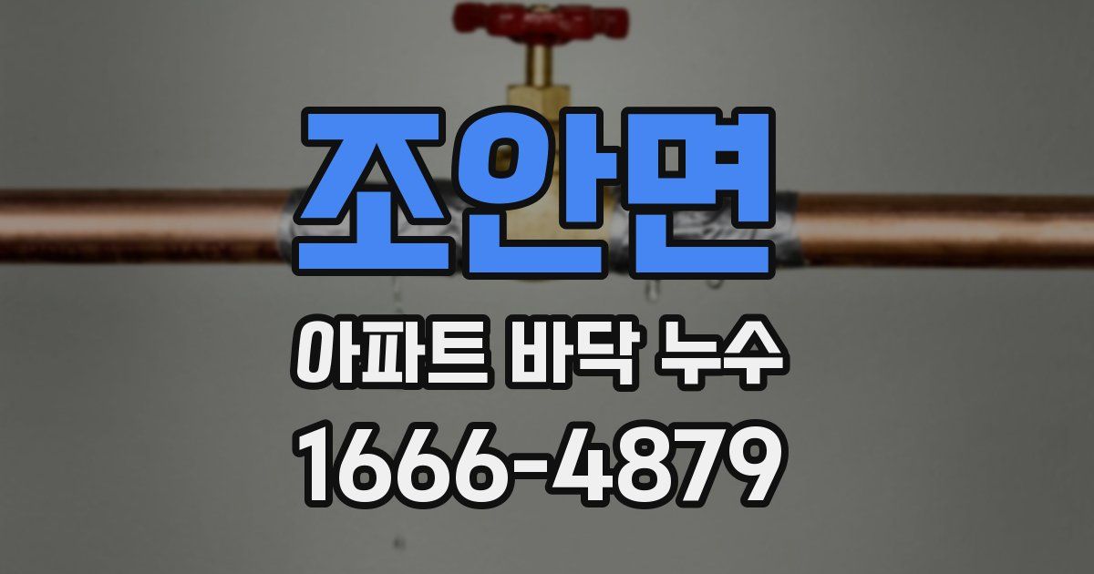 조안면 아파트 바닥 누수