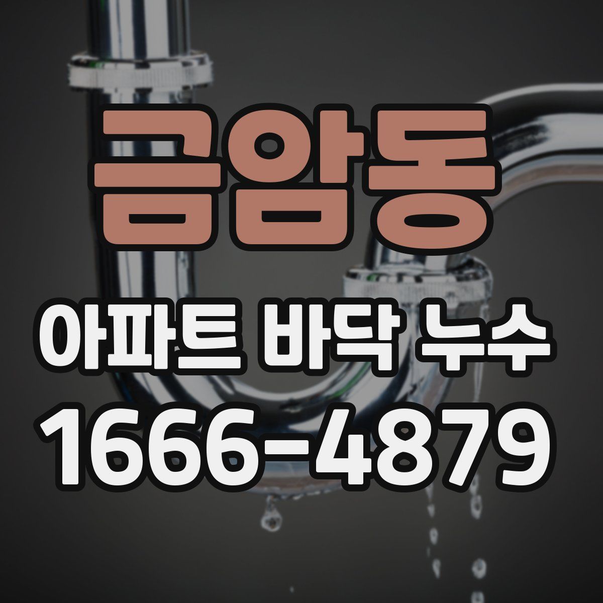 금암동 아파트 바닥 누수