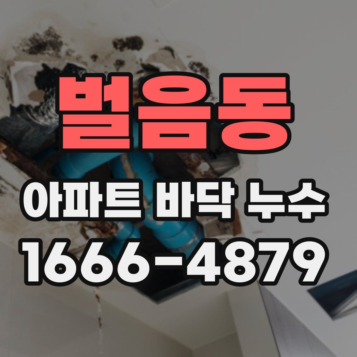 벌음동 아파트 바닥 누수