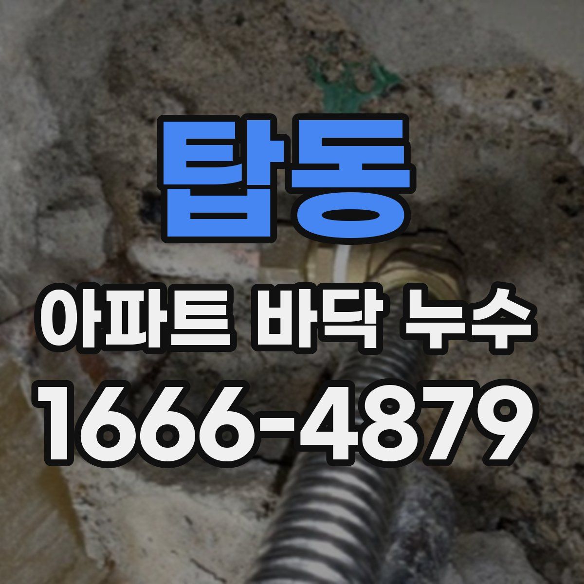 탑동 아파트 바닥 누수
