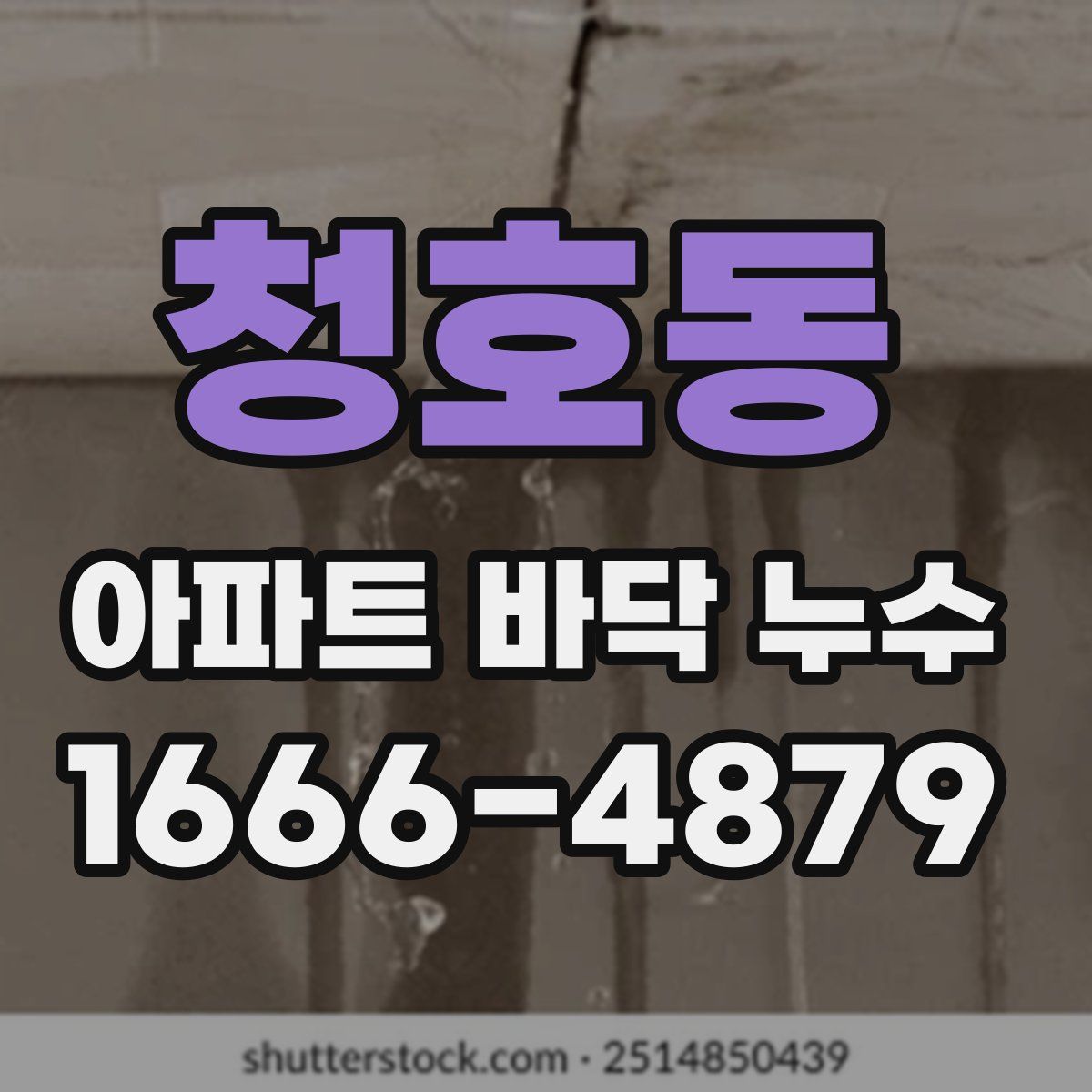 청호동 아파트 바닥 누수