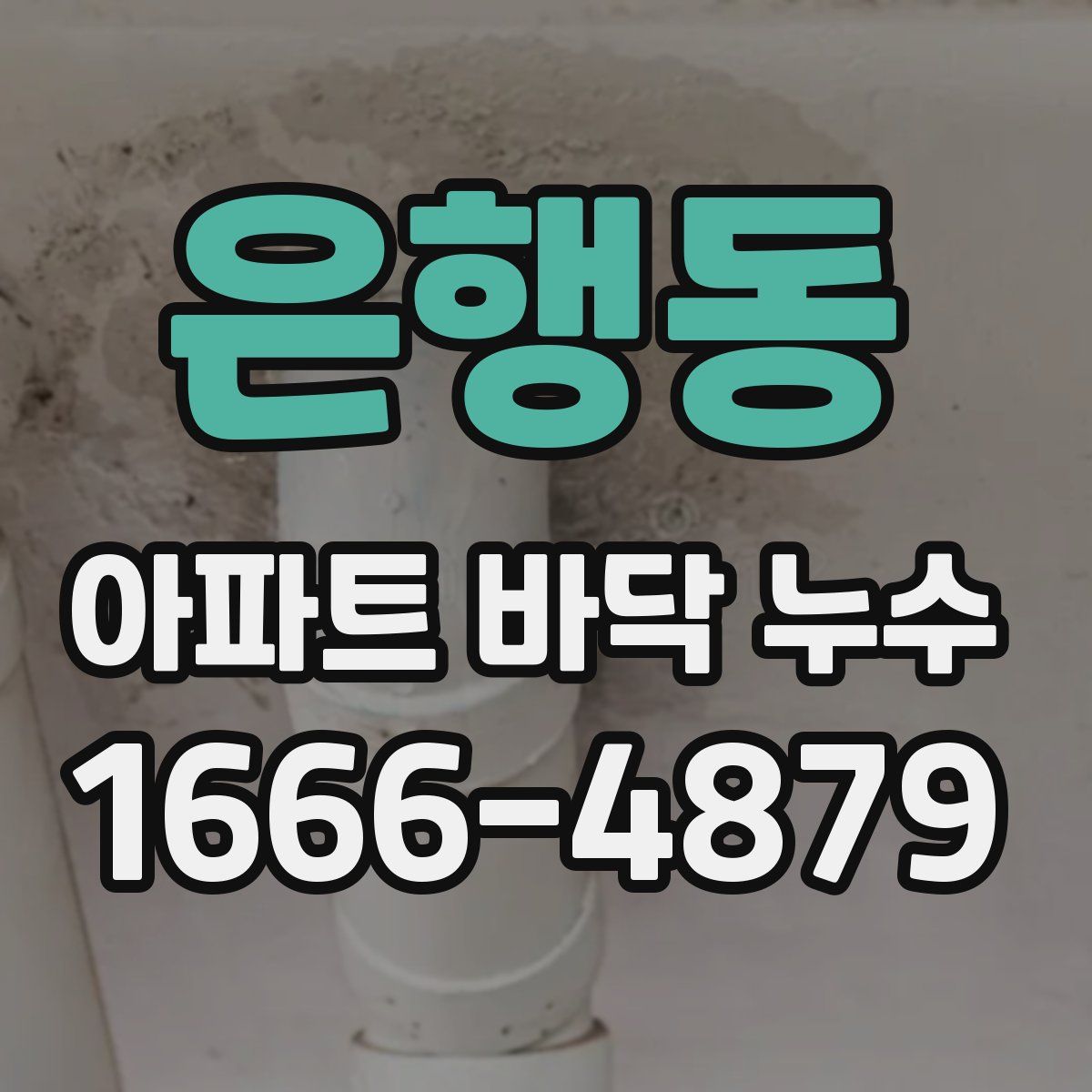 은행동 아파트 바닥 누수