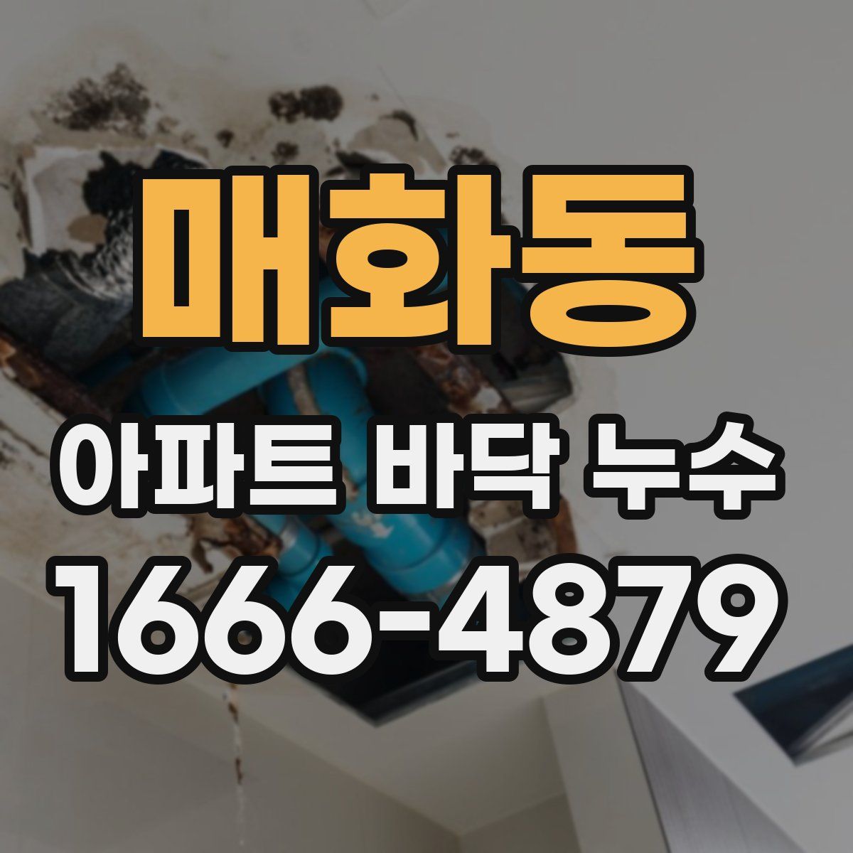 매화동 아파트 바닥 누수