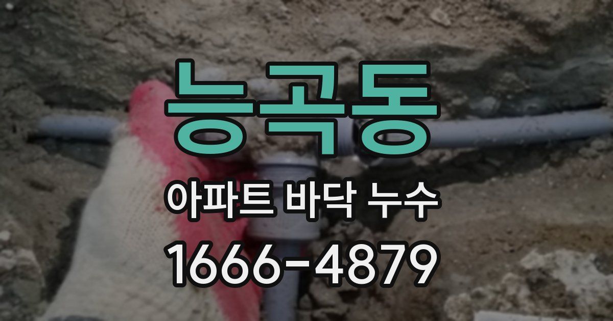 능곡동 아파트 바닥 누수
