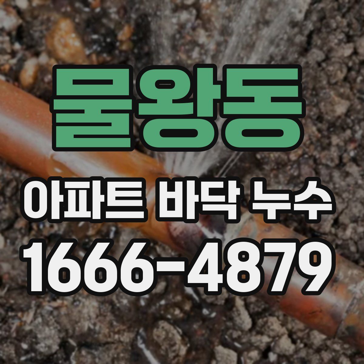 물왕동 아파트 바닥 누수