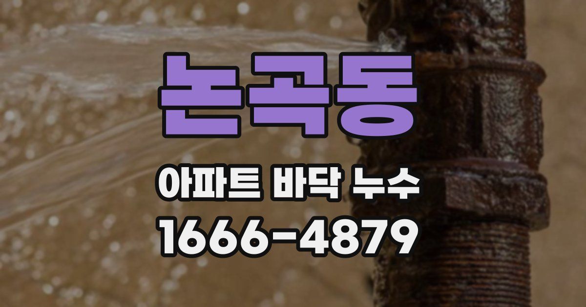논곡동 아파트 바닥 누수