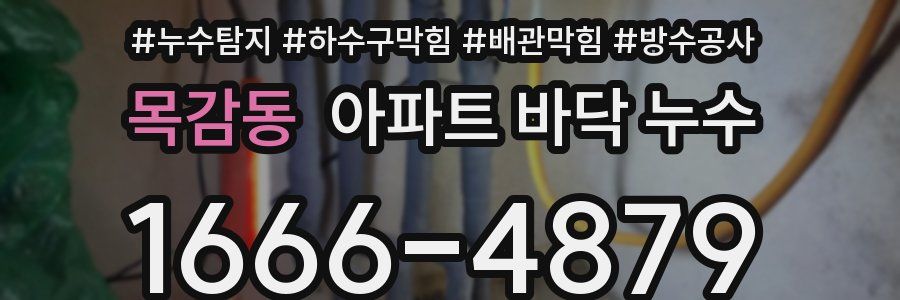 목감동 아파트 바닥 누수