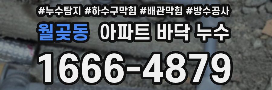 월곶동 아파트 바닥 누수