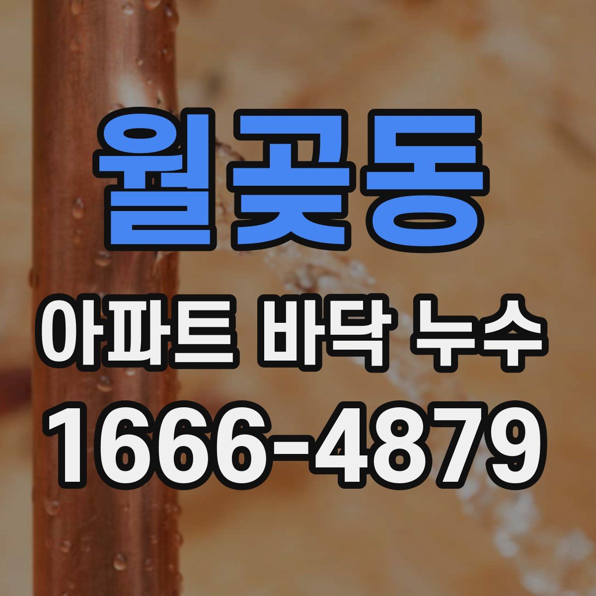 월곶동 아파트 바닥 누수