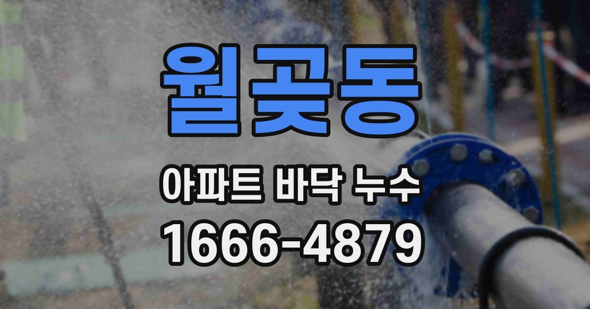 월곶동 아파트 바닥 누수