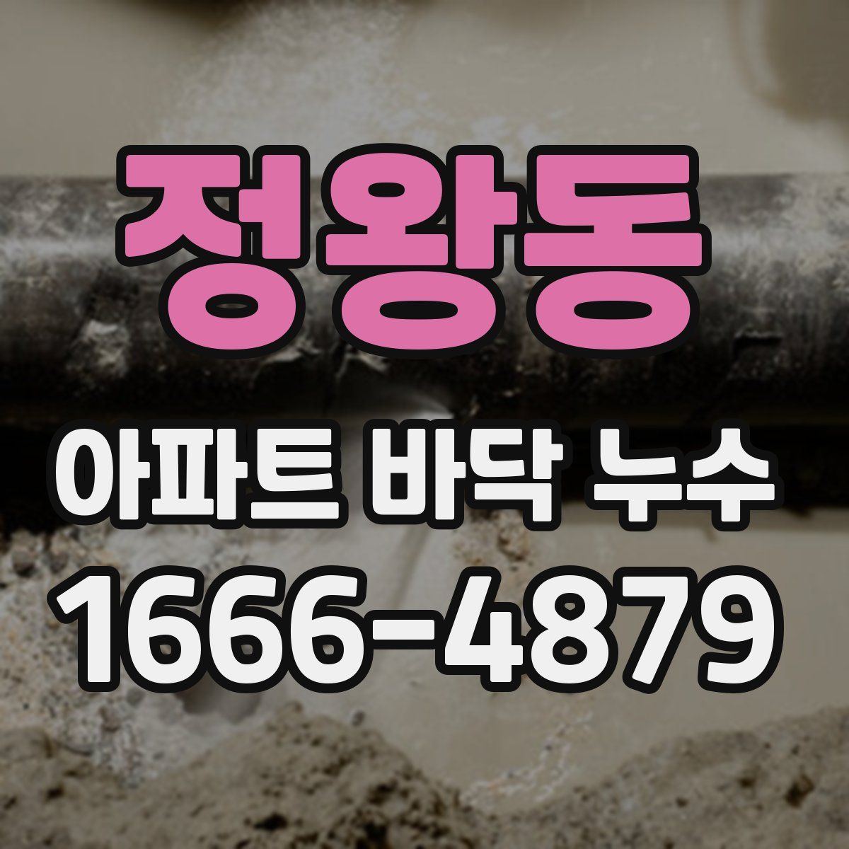 정왕동 아파트 바닥 누수