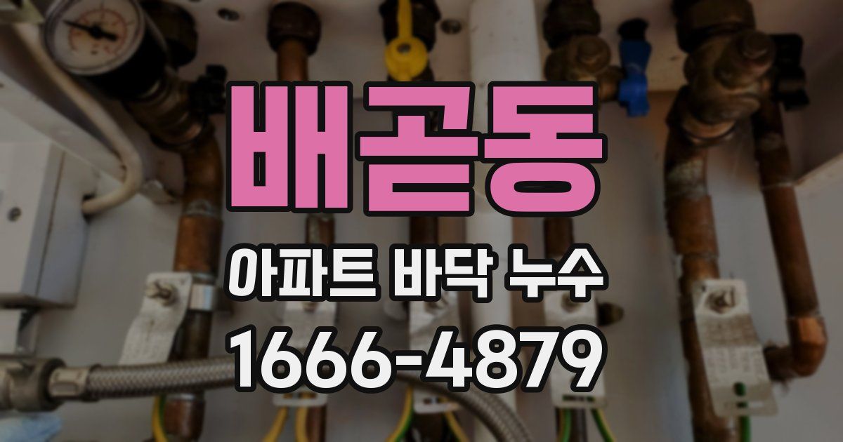 배곧동 아파트 바닥 누수