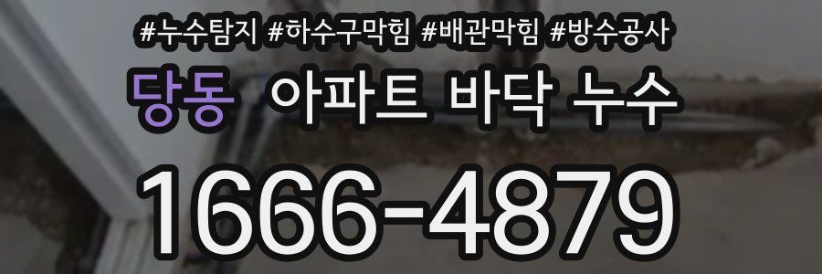당동 아파트 바닥 누수