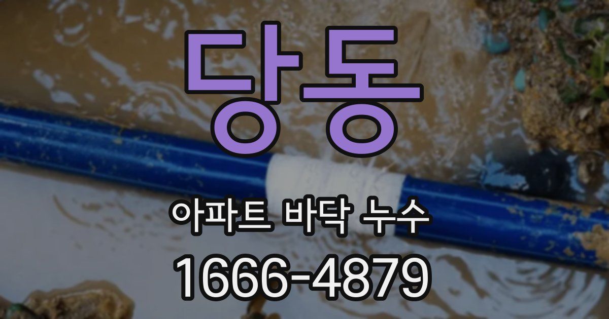 당동 아파트 바닥 누수