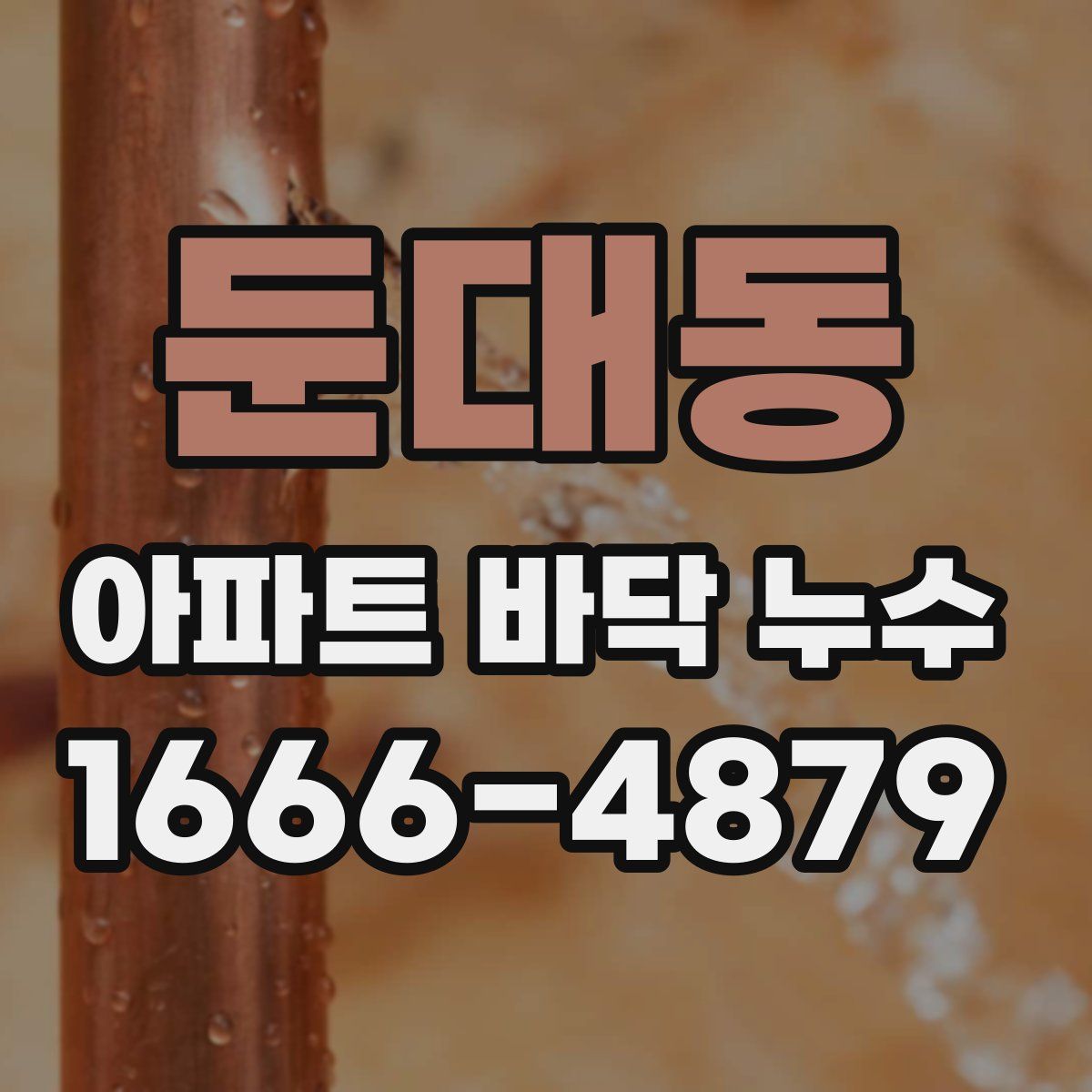 둔대동 아파트 바닥 누수