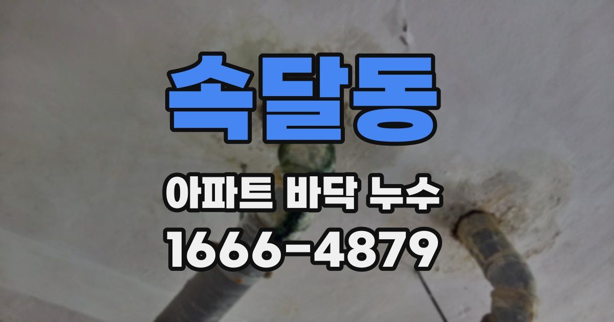 속달동 아파트 바닥 누수