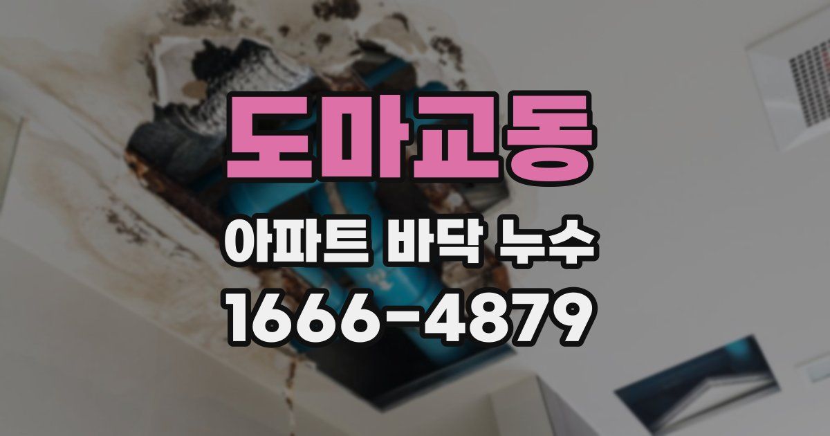 도마교동 아파트 바닥 누수