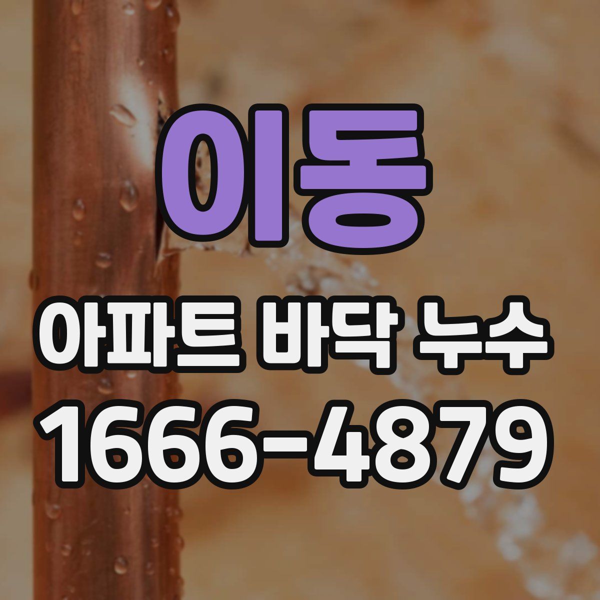이동 아파트 바닥 누수