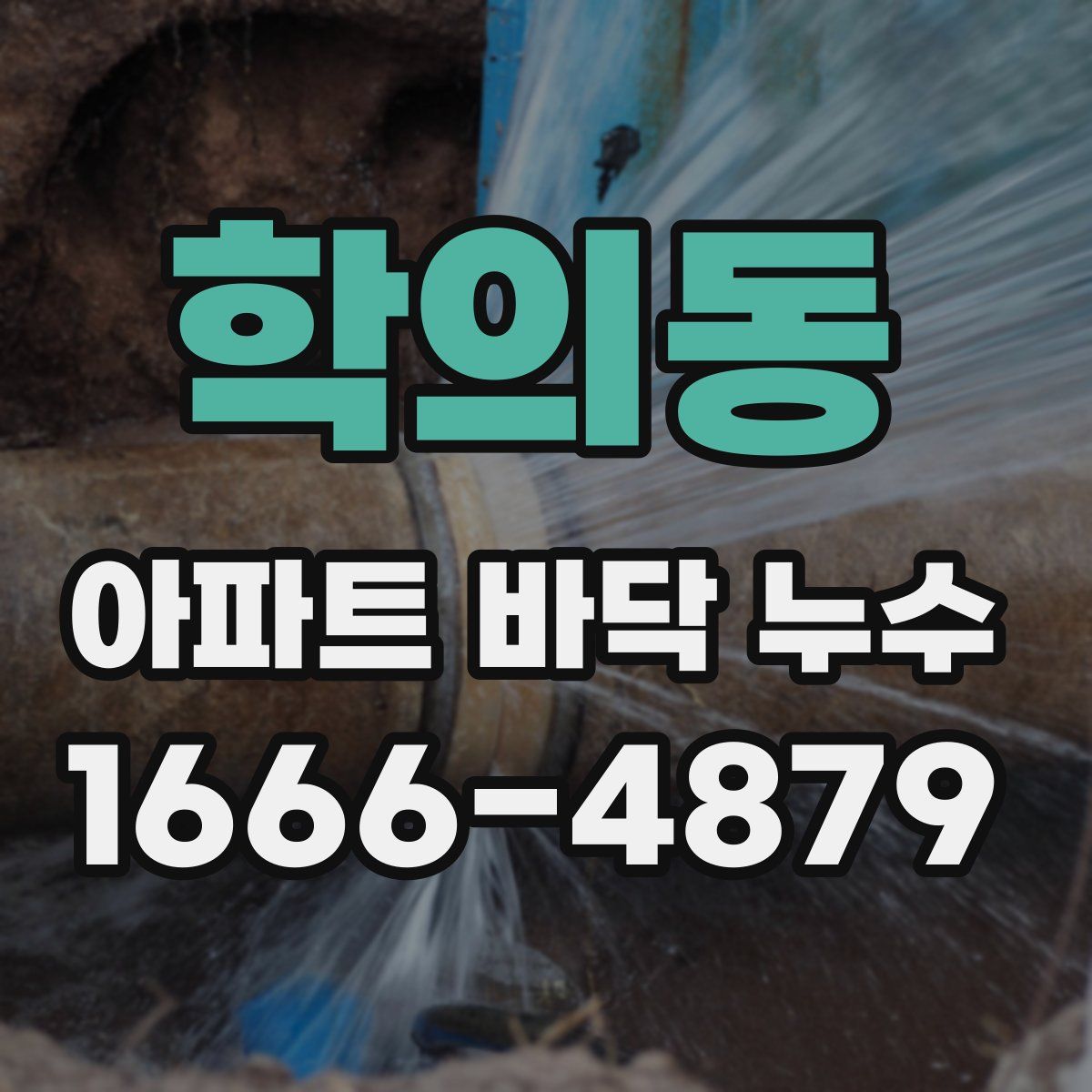 학의동 아파트 바닥 누수