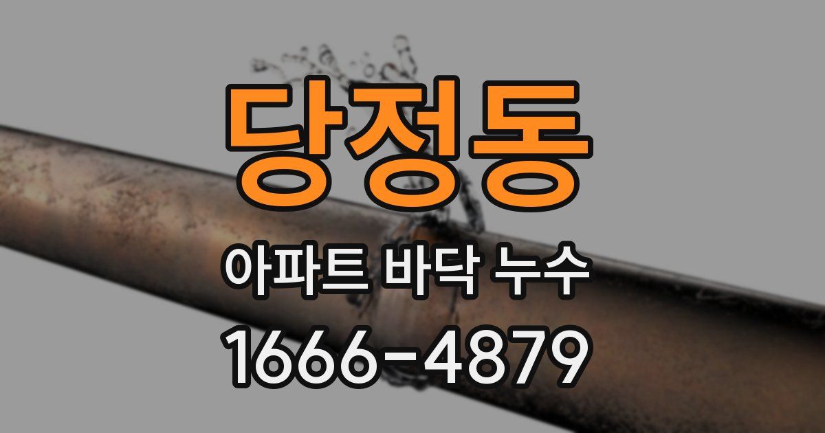 당정동 아파트 바닥 누수