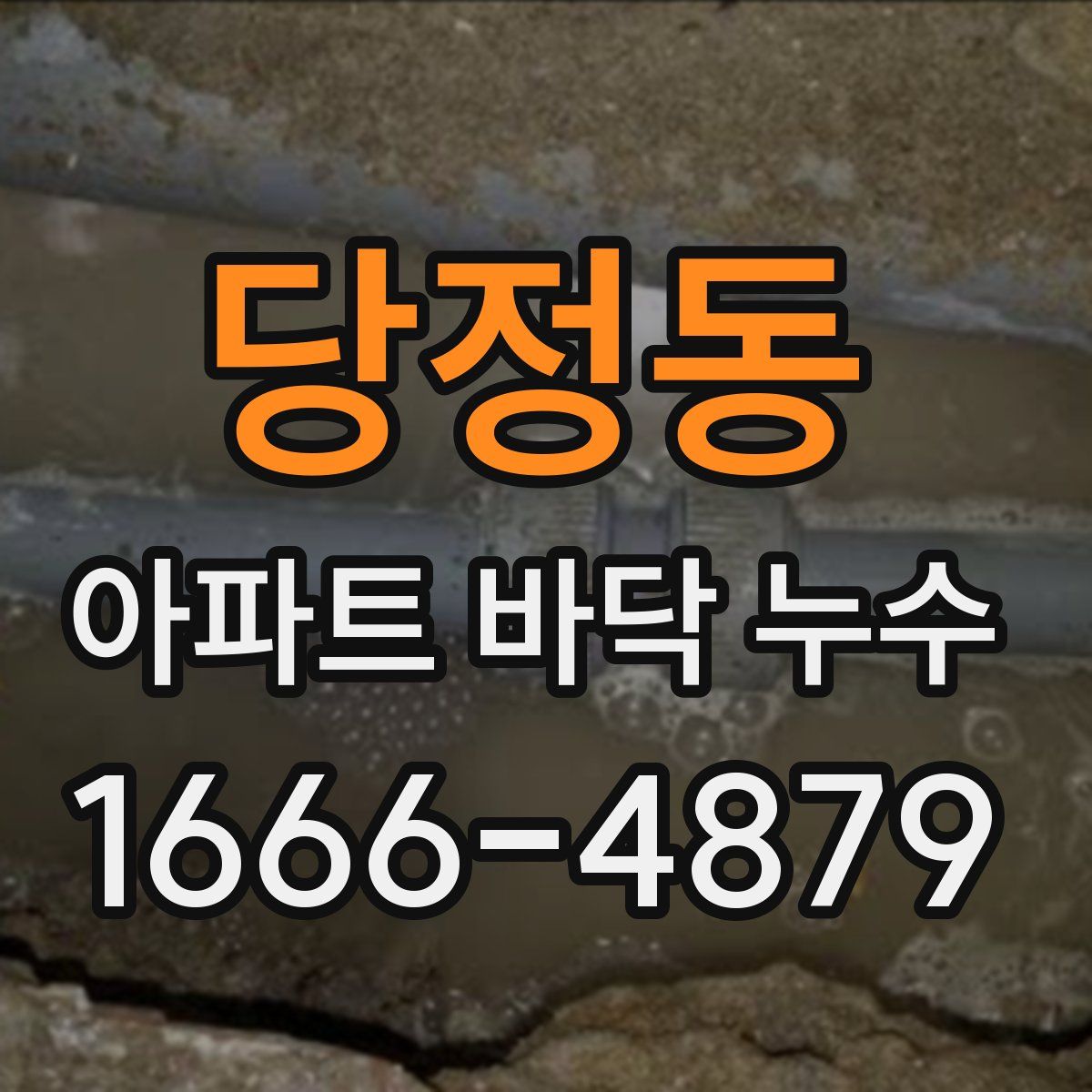 당정동 아파트 바닥 누수