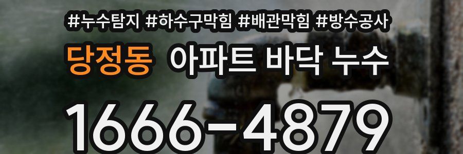 당정동 아파트 바닥 누수