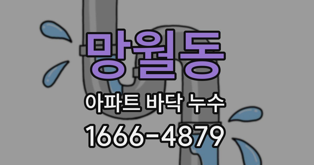 망월동 아파트 바닥 누수