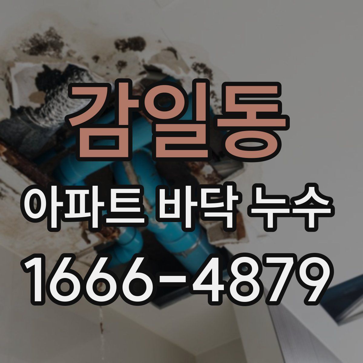 감일동 아파트 바닥 누수