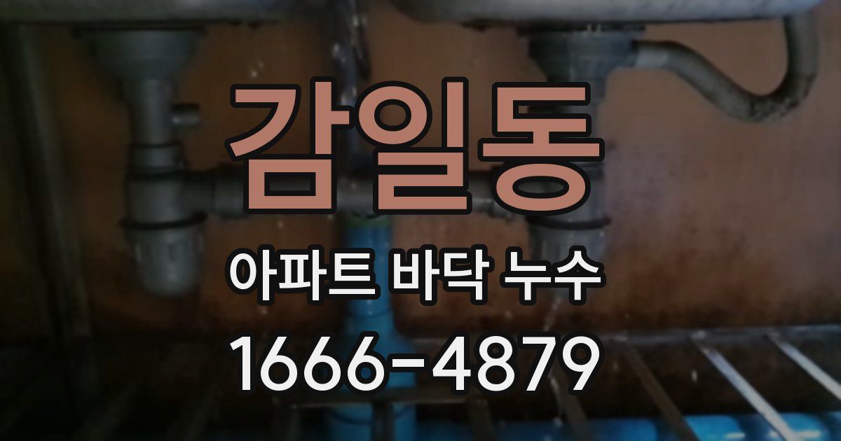감일동 아파트 바닥 누수