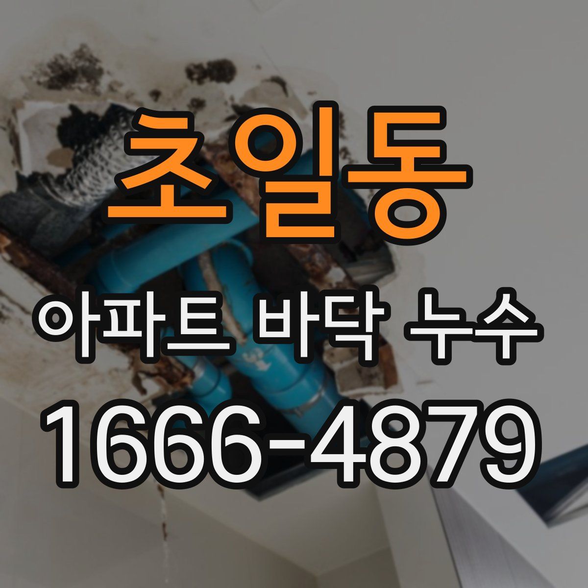초일동 아파트 바닥 누수