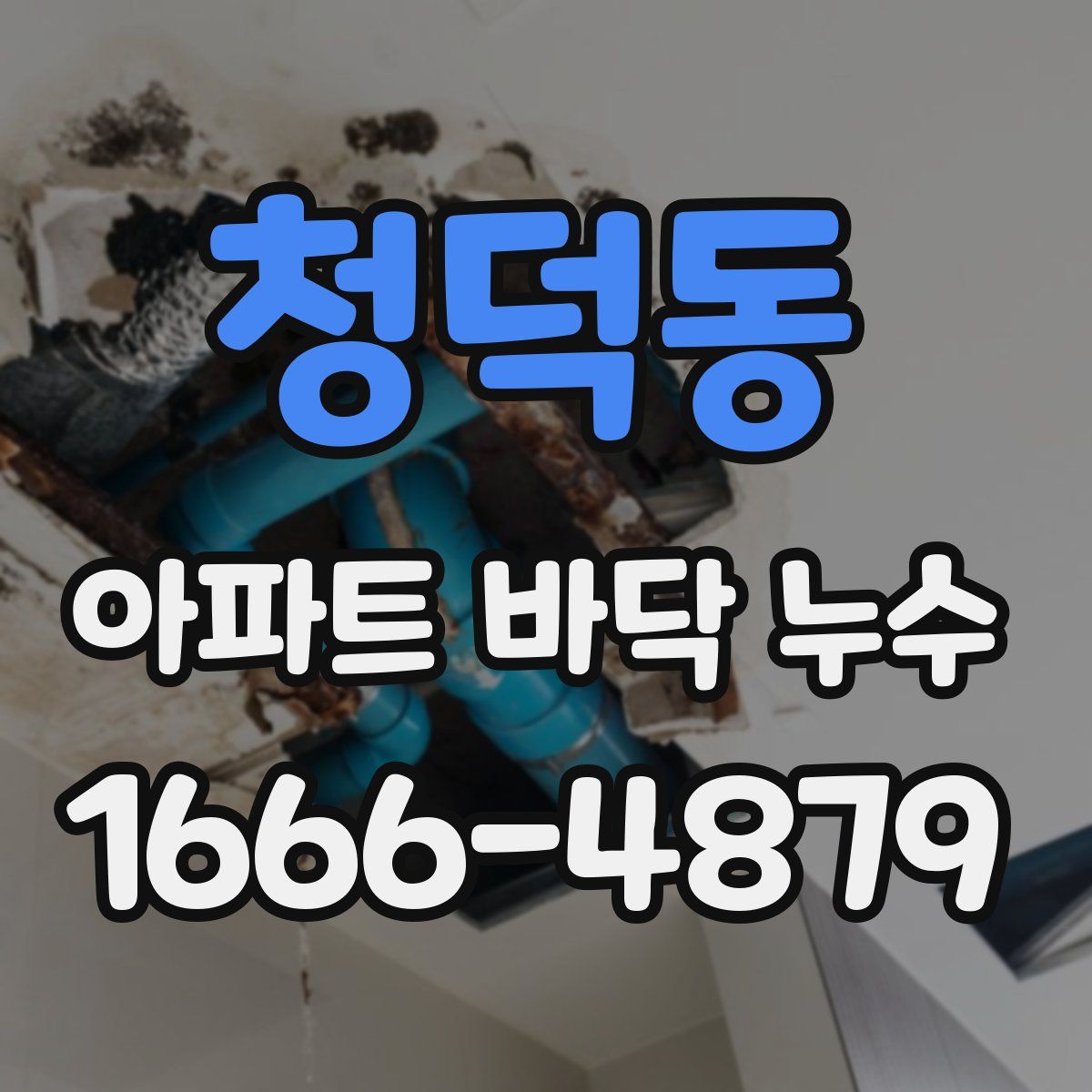 청덕동 아파트 바닥 누수