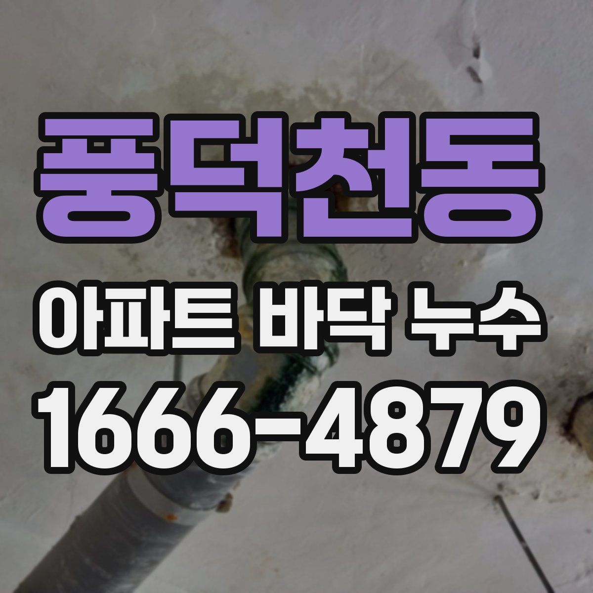 풍덕천동 아파트 바닥 누수