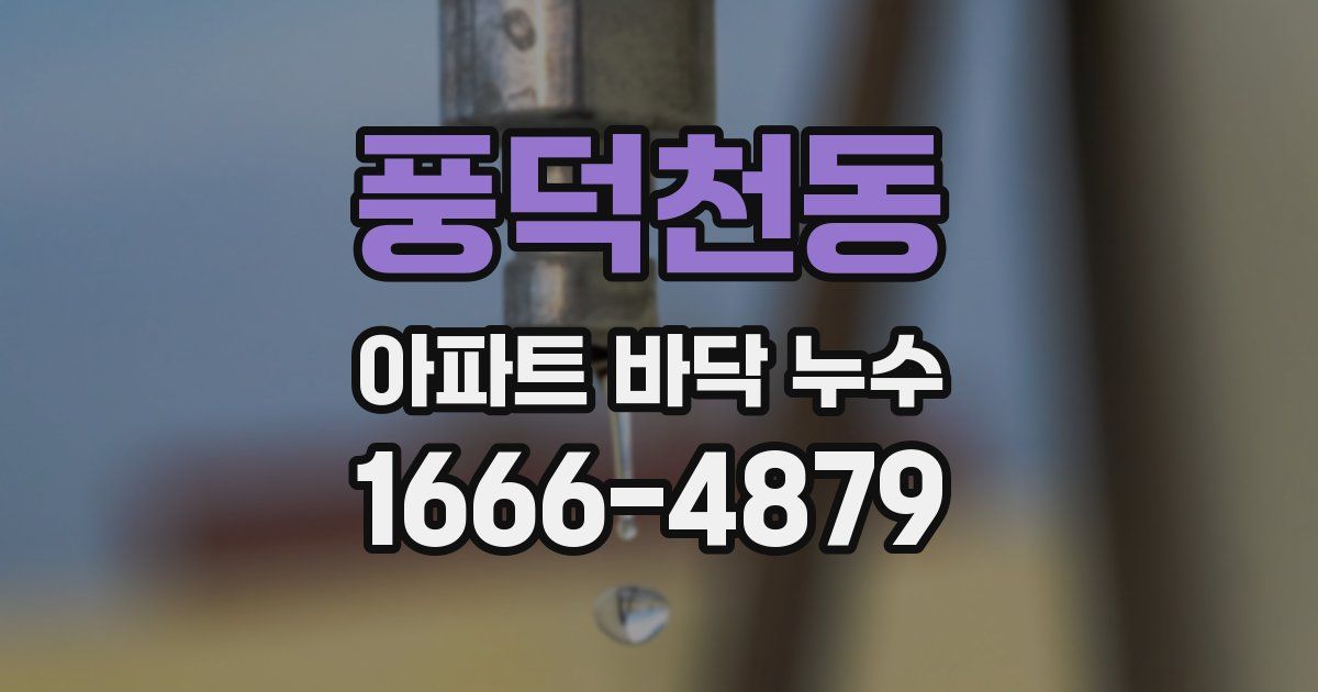 풍덕천동 아파트 바닥 누수