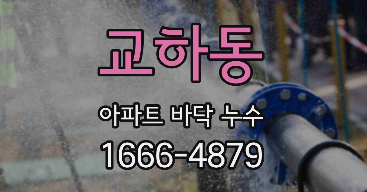 교하동 아파트 바닥 누수