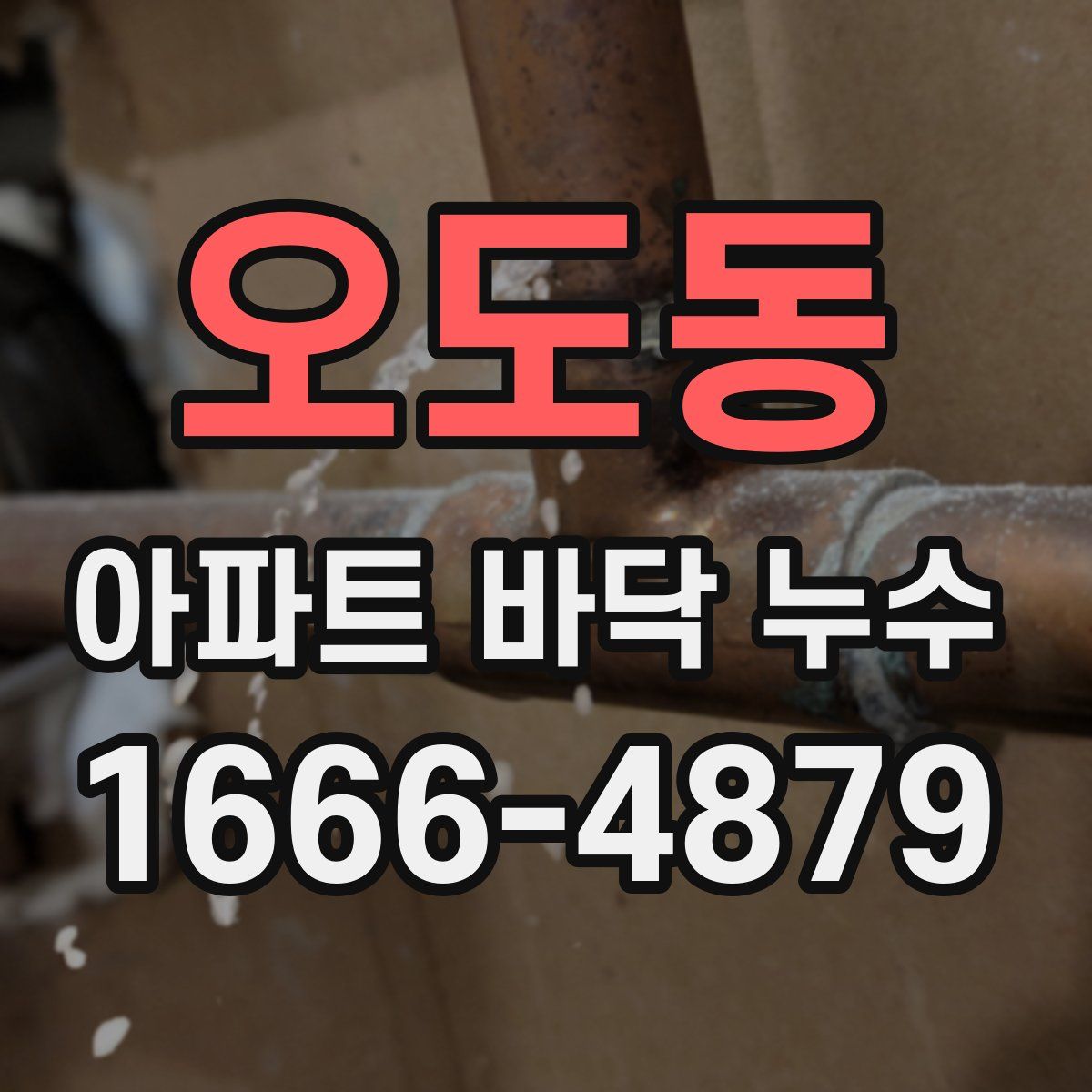 오도동 아파트 바닥 누수