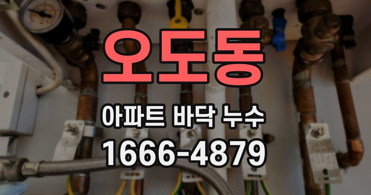 오도동 아파트 바닥 누수