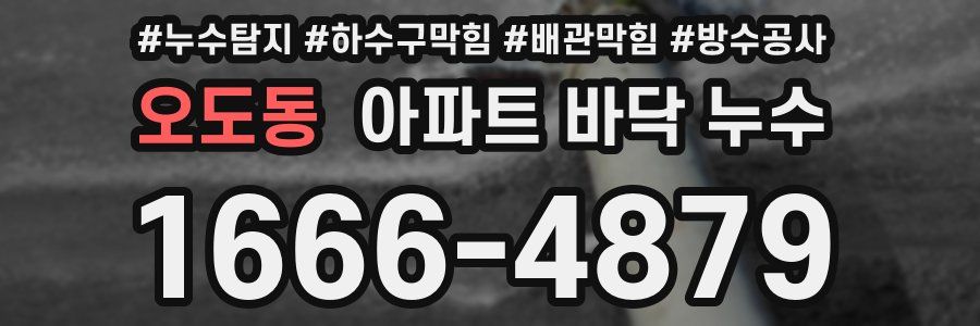 오도동 아파트 바닥 누수