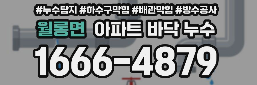 월롱면 아파트 바닥 누수