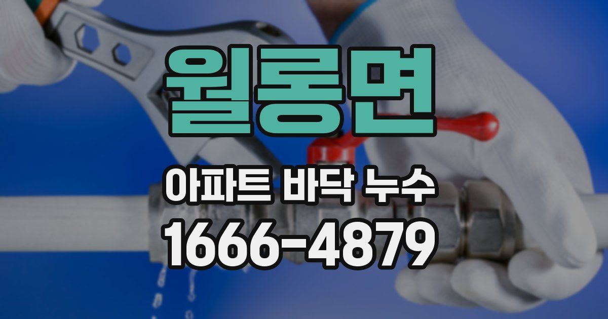 월롱면 아파트 바닥 누수