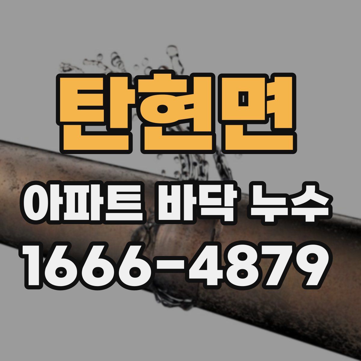 탄현면 아파트 바닥 누수