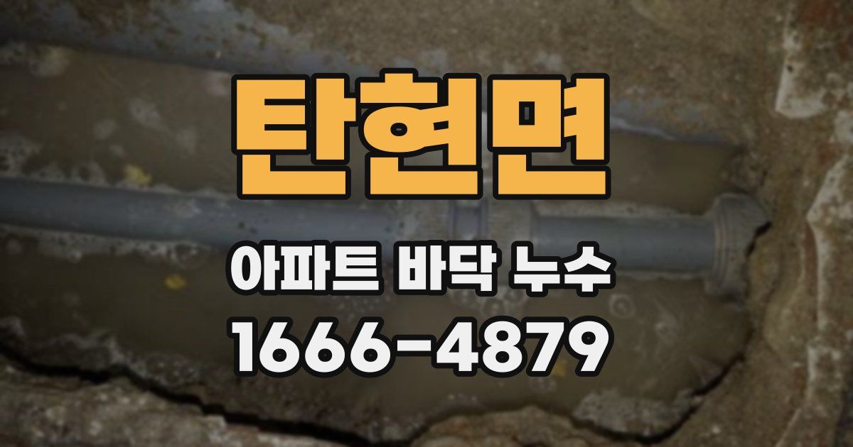 탄현면 아파트 바닥 누수
