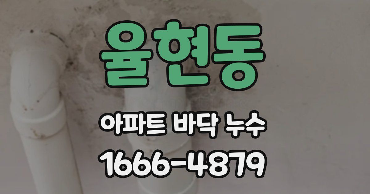 율현동 아파트 바닥 누수