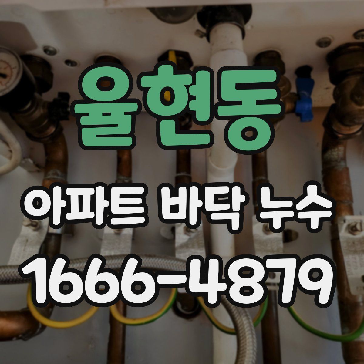 율현동 아파트 바닥 누수
