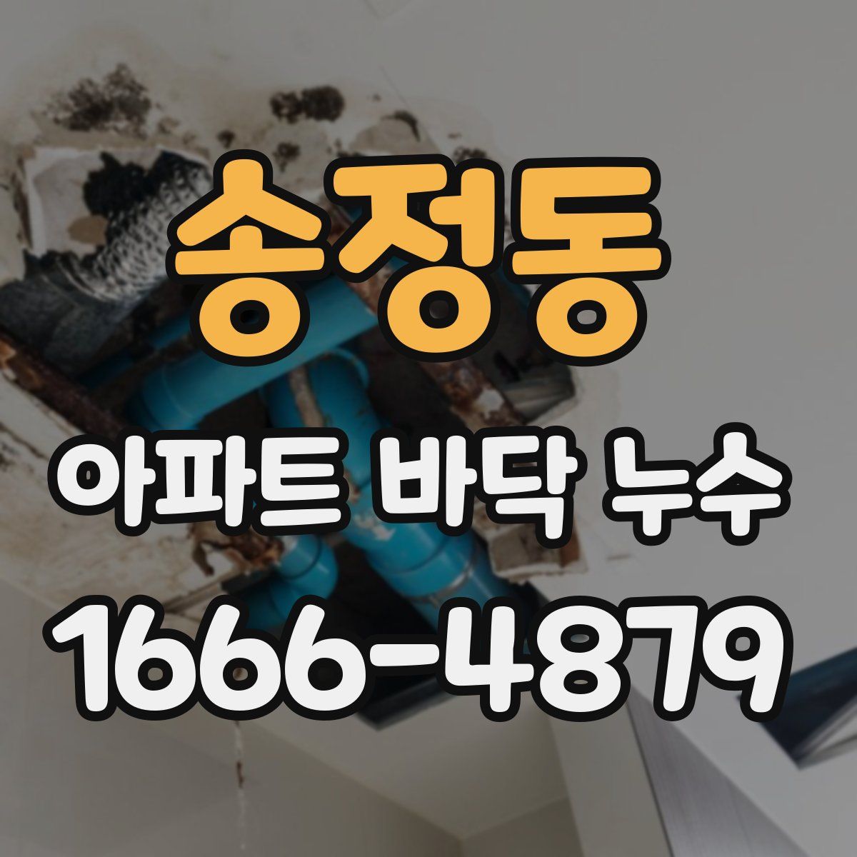 송정동 아파트 바닥 누수