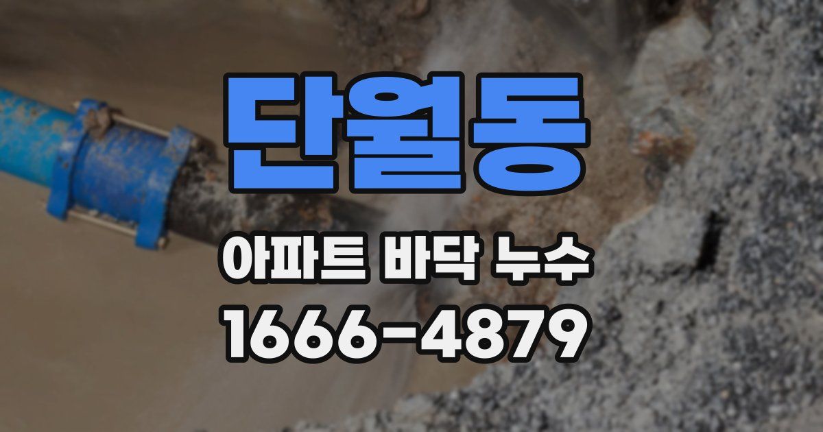 단월동 아파트 바닥 누수